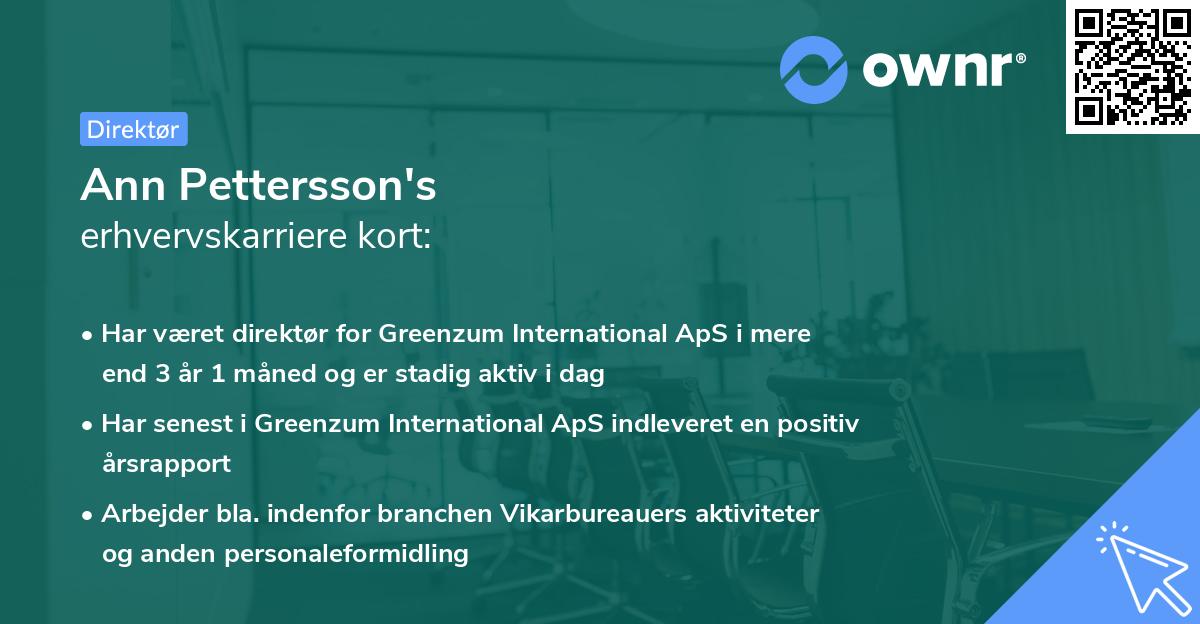 Ann Pettersson's erhvervskarriere kort