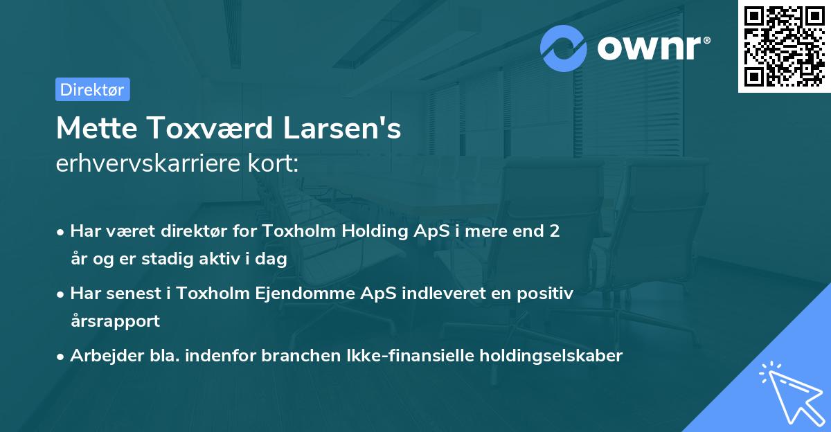 Mette Toxværd Larsen's erhvervskarriere kort
