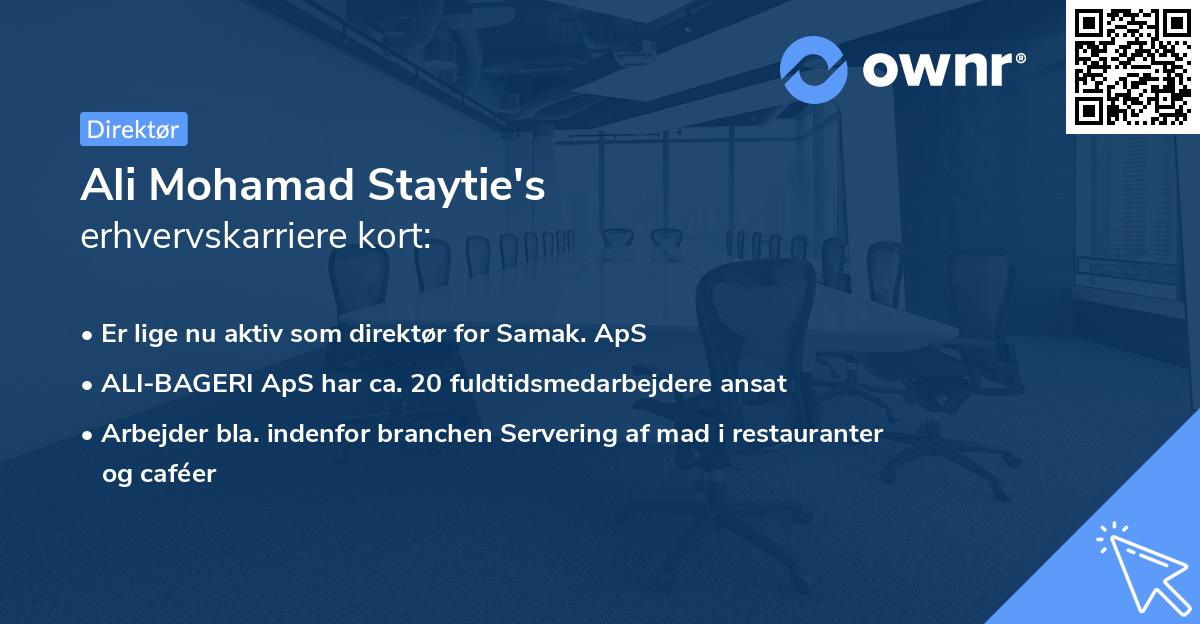 Ali Mohamad Staytie's erhvervskarriere kort