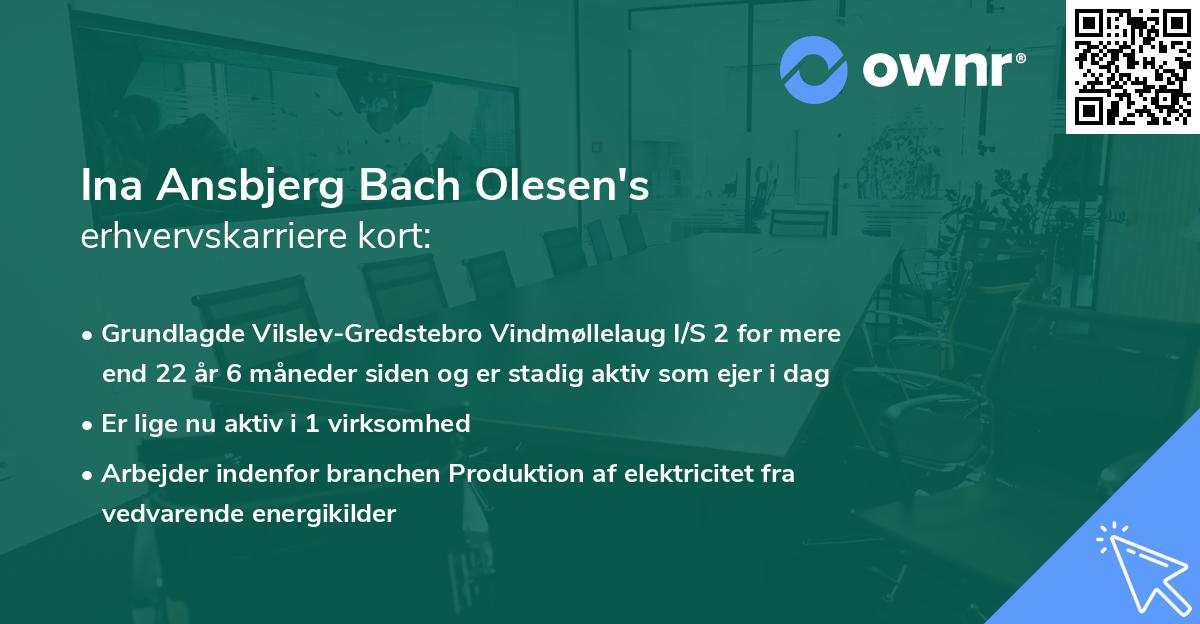 Ina Ansbjerg Bach Olesen's erhvervskarriere kort