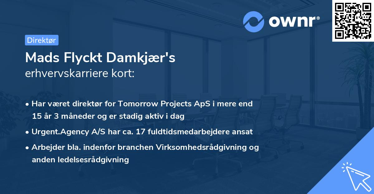 Mads Flyckt Damkjær's erhvervskarriere kort