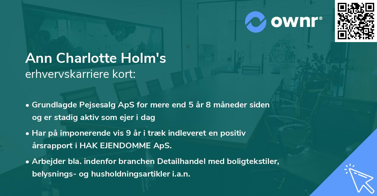 Ann Charlotte Holm's erhvervskarriere kort