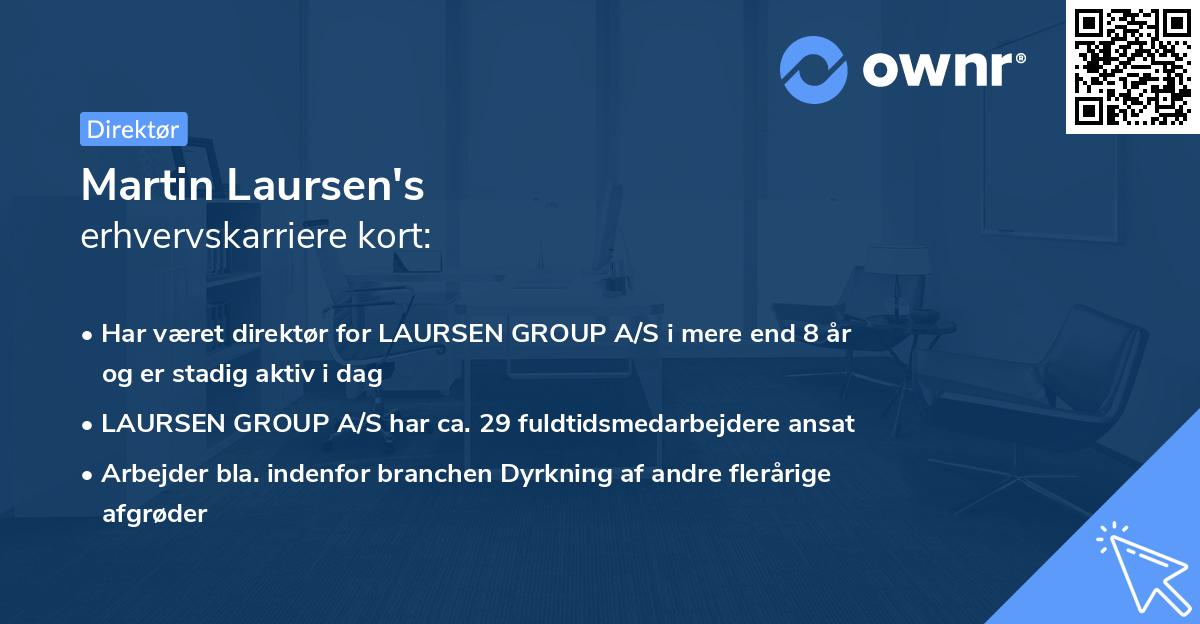 Martin Laursen's erhvervskarriere kort