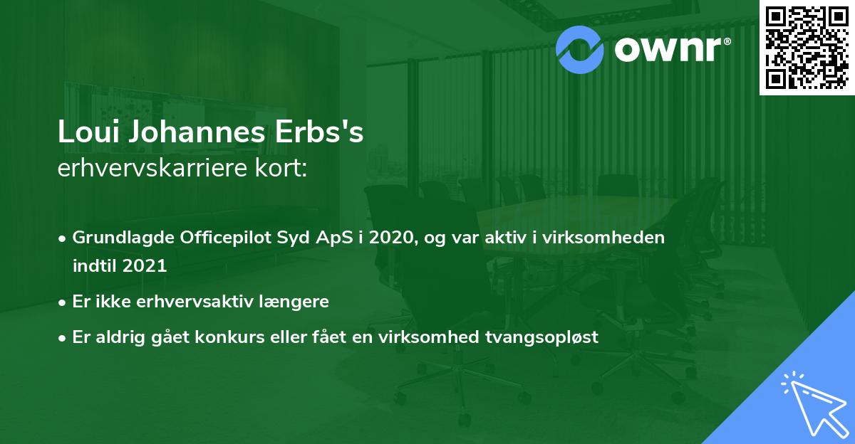 Loui Johannes Erbs's erhvervskarriere kort