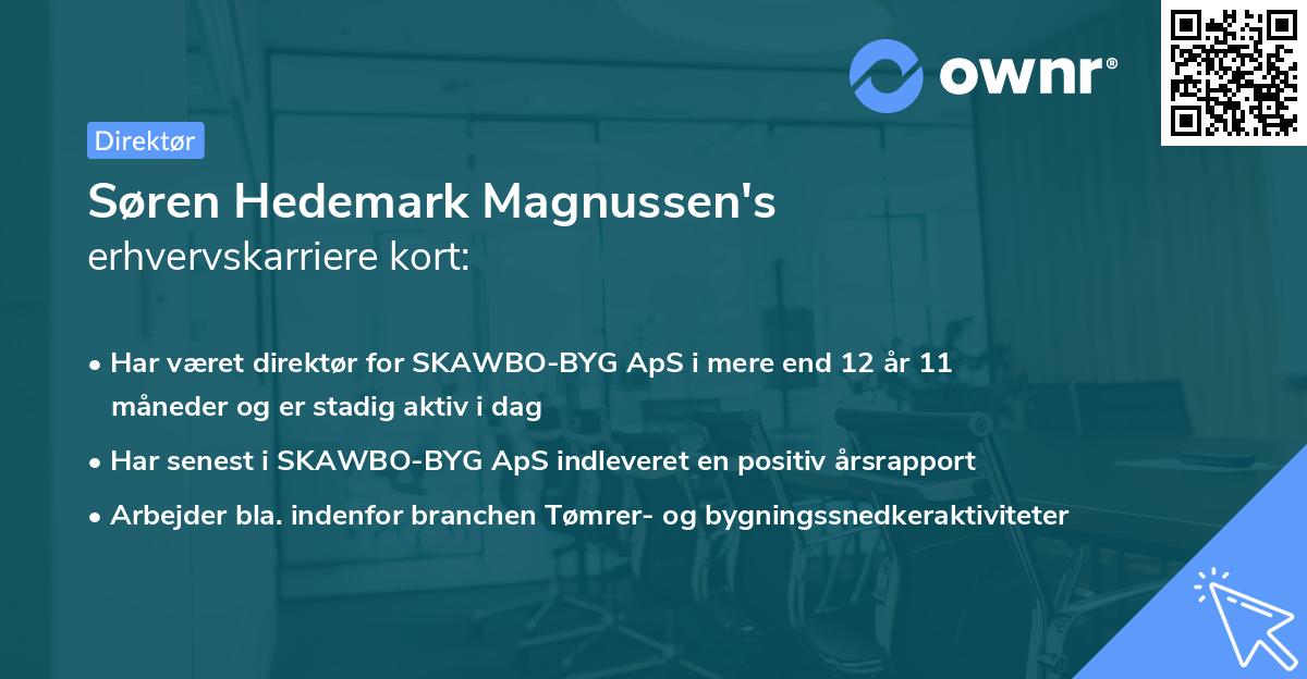 Søren Hedemark Magnussen's erhvervskarriere kort
