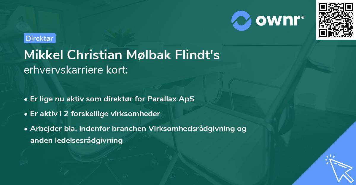 Mikkel Christian Mølbak Flindt's erhvervskarriere kort