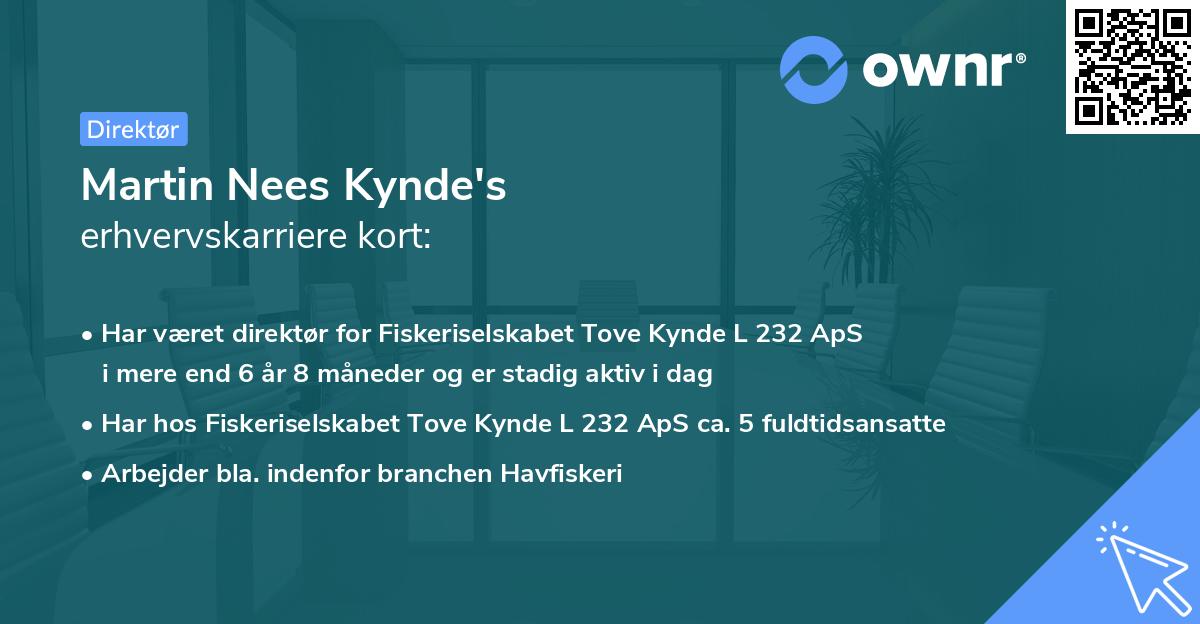 Martin Nees Kynde's erhvervskarriere kort