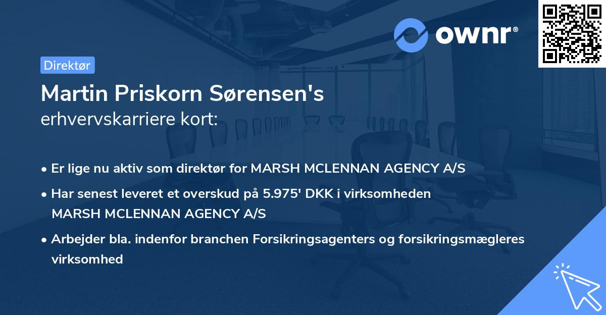 Martin Priskorn Sørensen's erhvervskarriere kort