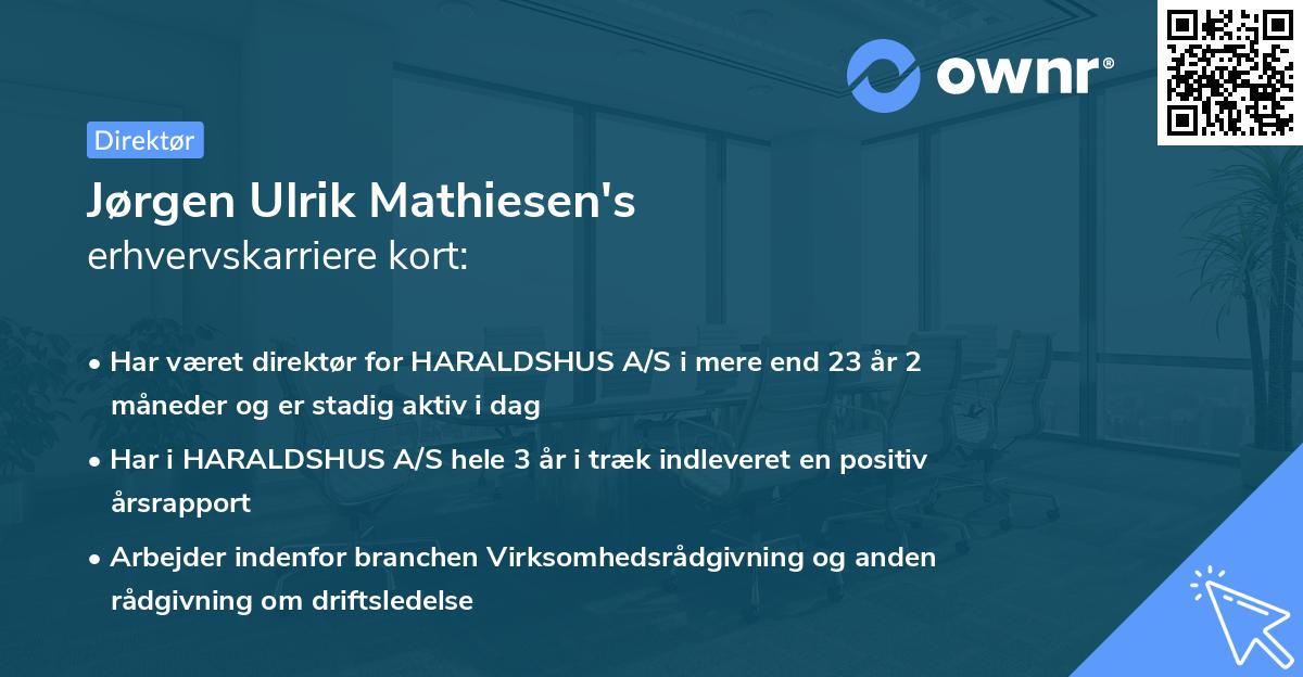 Jørgen Ulrik Mathiesen's erhvervskarriere kort