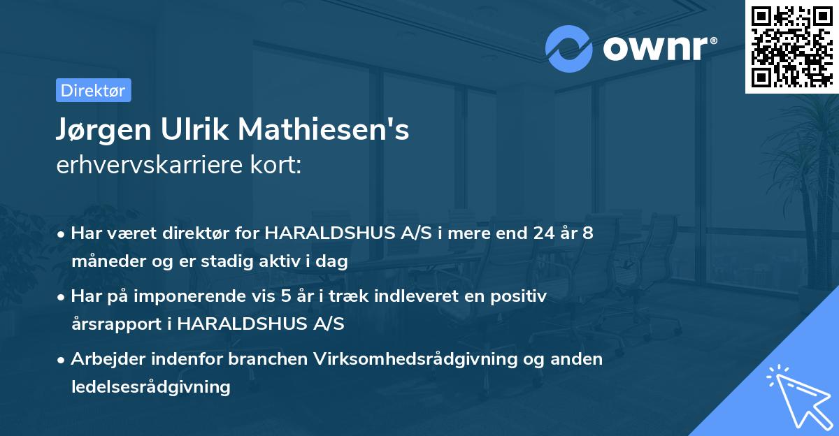 Jørgen Ulrik Mathiesen's erhvervskarriere kort