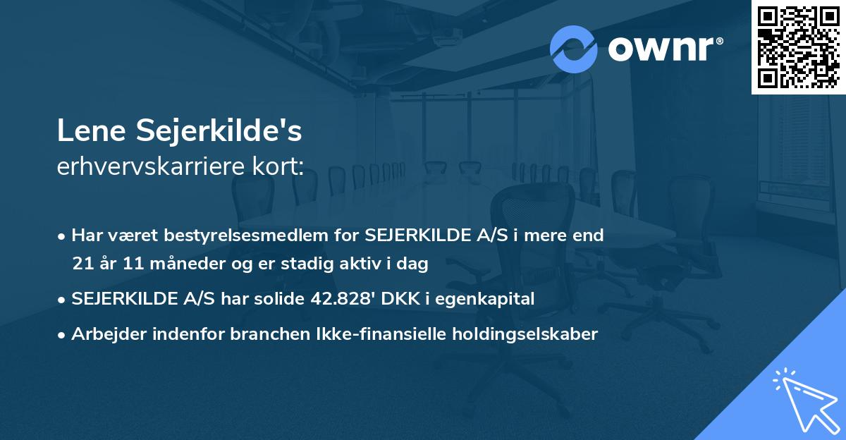 Lene Sejerkilde's erhvervskarriere kort