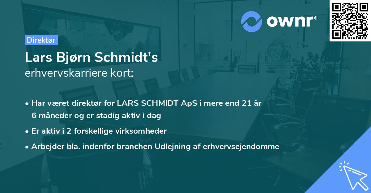 Lars Bjørn Schmidt's erhvervskarriere kort
