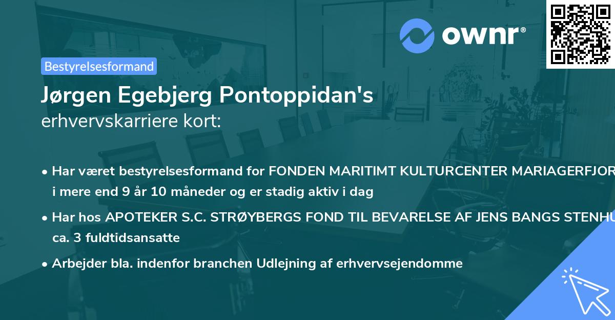 Jørgen Egebjerg Pontoppidan's erhvervskarriere kort