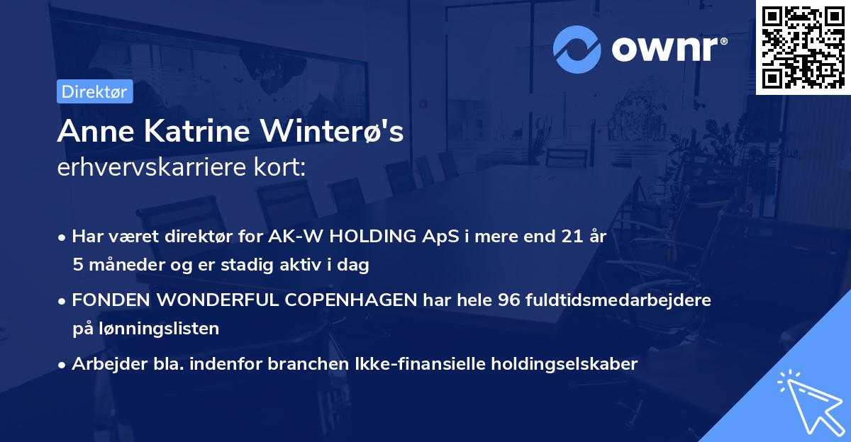 Anne Katrine Winterø's erhvervskarriere kort