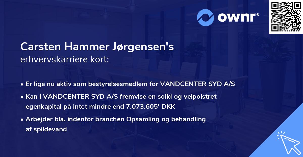 Carsten Hammer Jørgensen's erhvervskarriere kort