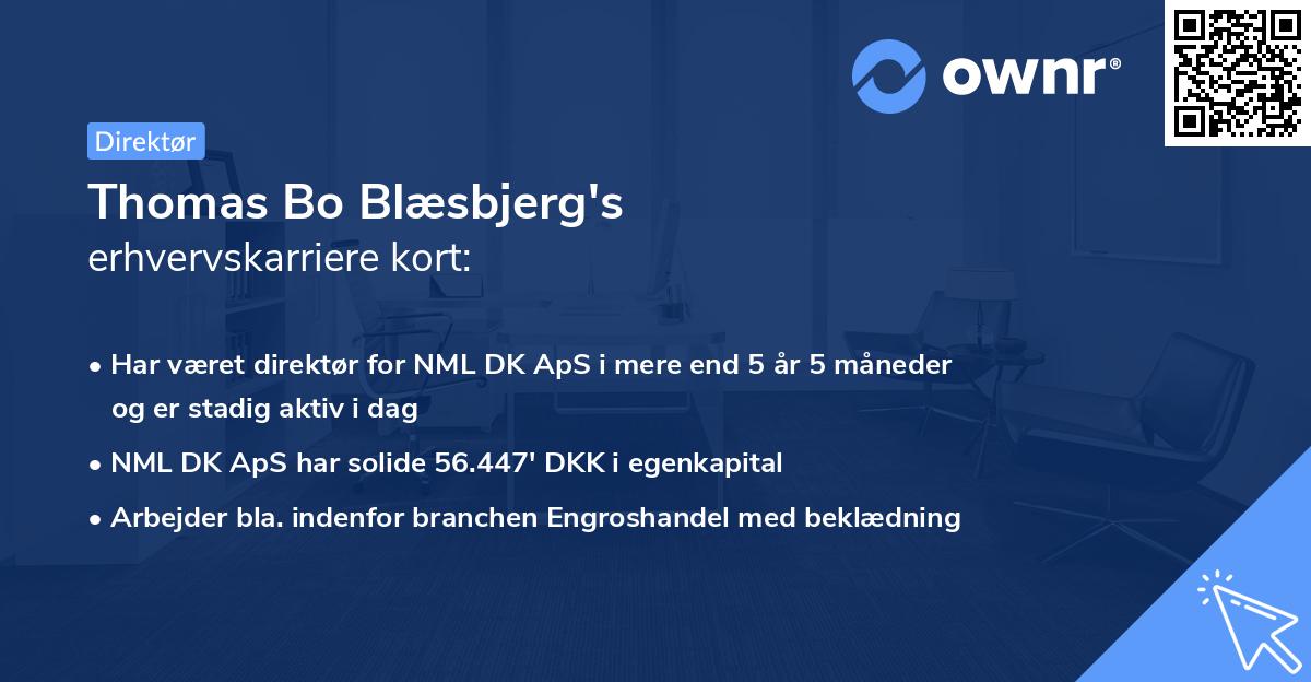 Thomas Bo Blæsbjerg's erhvervskarriere kort