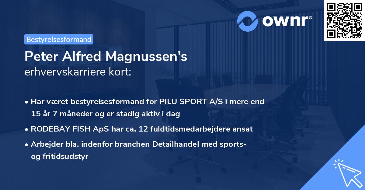 Peter Alfred Magnussen's erhvervskarriere kort