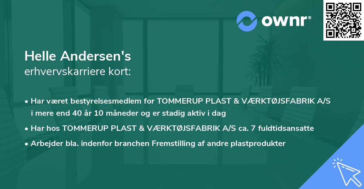 Helle Andersen's erhvervskarriere kort