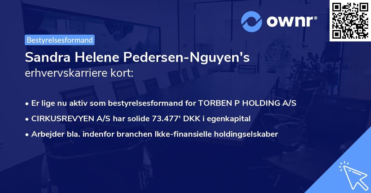 Sandra Helene Pedersen-Nguyen's erhvervskarriere kort