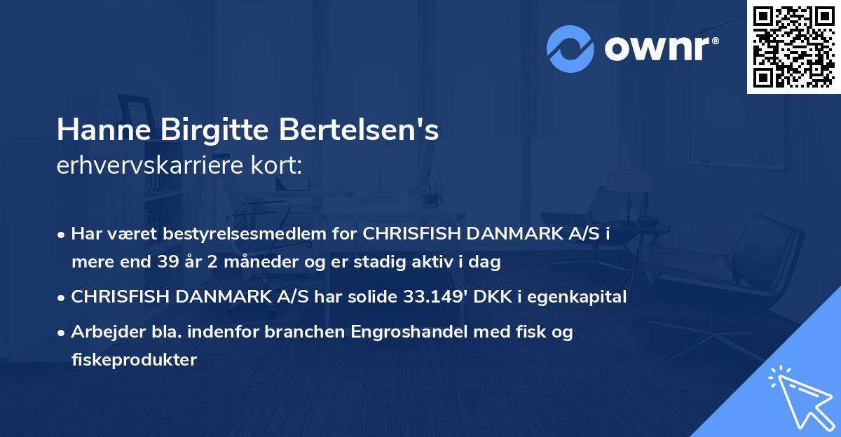 Hanne Birgitte Bertelsen's erhvervskarriere kort