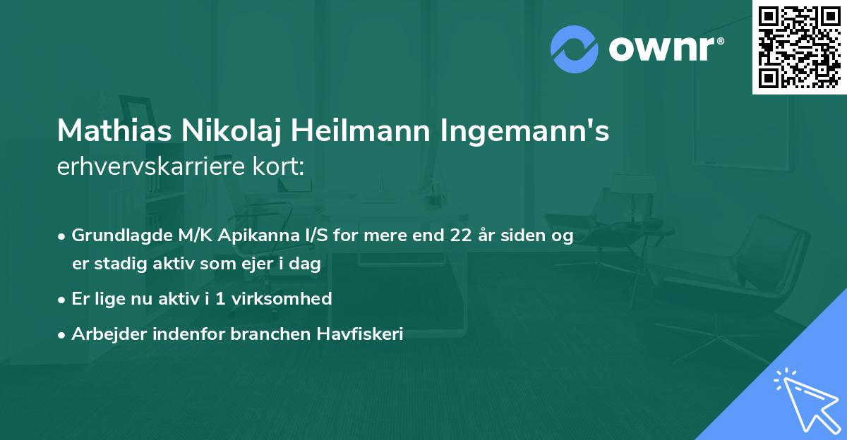 Mathias Nikolaj Heilmann Ingemann's erhvervskarriere kort