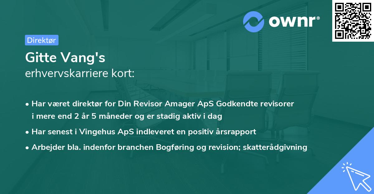 Gitte Vang's erhvervskarriere kort