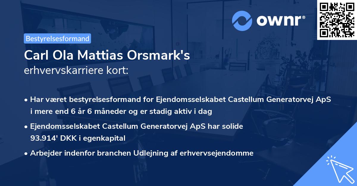 Carl Ola Mattias Orsmark's erhvervskarriere kort