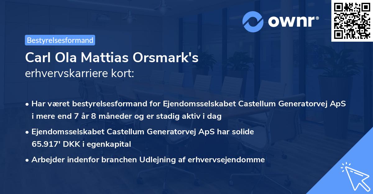 Carl Ola Mattias Orsmark's erhvervskarriere kort