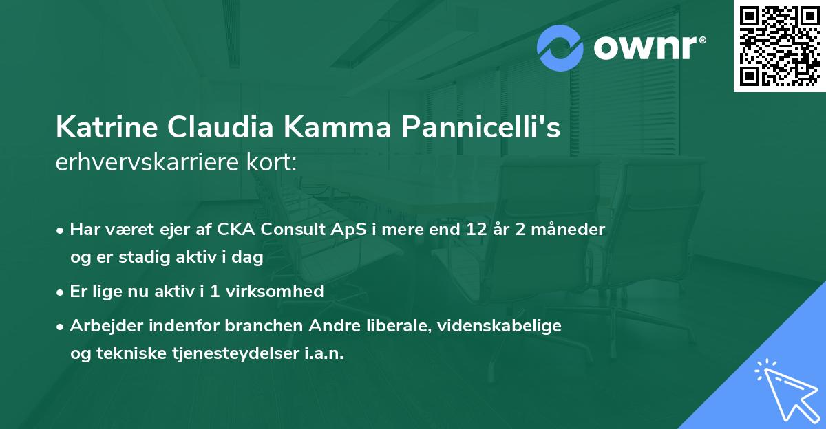 Katrine Claudia Kamma Pannicelli's erhvervskarriere kort