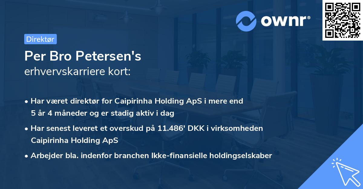 Per Bro Petersen's erhvervskarriere kort