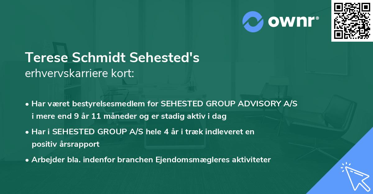 Terese Schmidt Sehested's erhvervskarriere kort