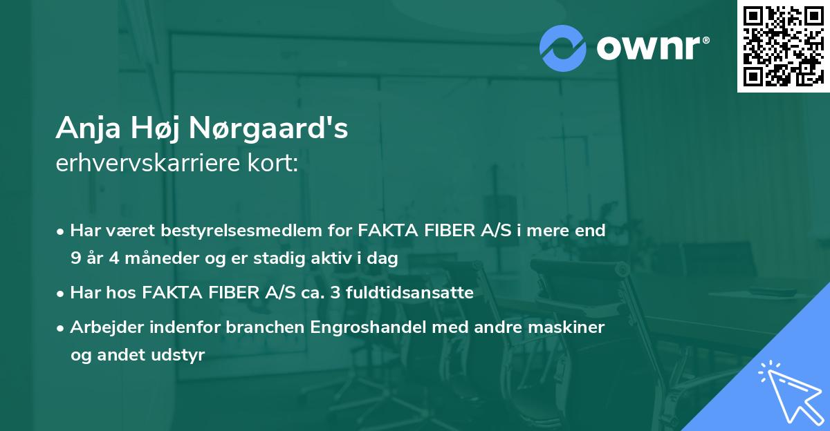 Anja Høj Nørgaard's erhvervskarriere kort