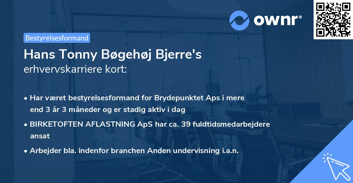 Hans Tonny Bøgehøj Bjerre's erhvervskarriere kort