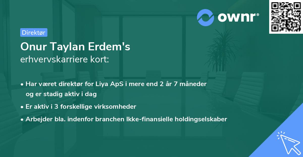 Onur Taylan Erdem's erhvervskarriere kort