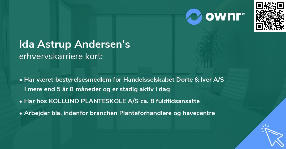 Ida Astrup Andersen's erhvervskarriere kort