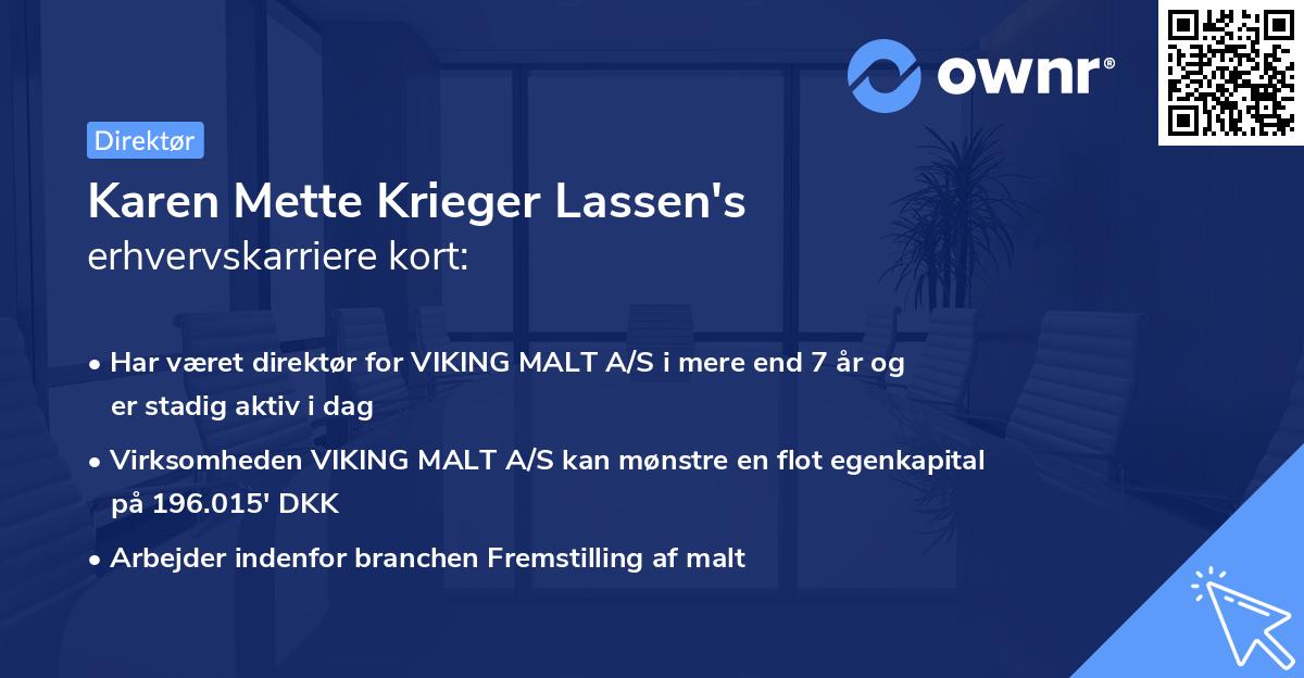 Karen Mette Krieger Lassen's erhvervskarriere kort