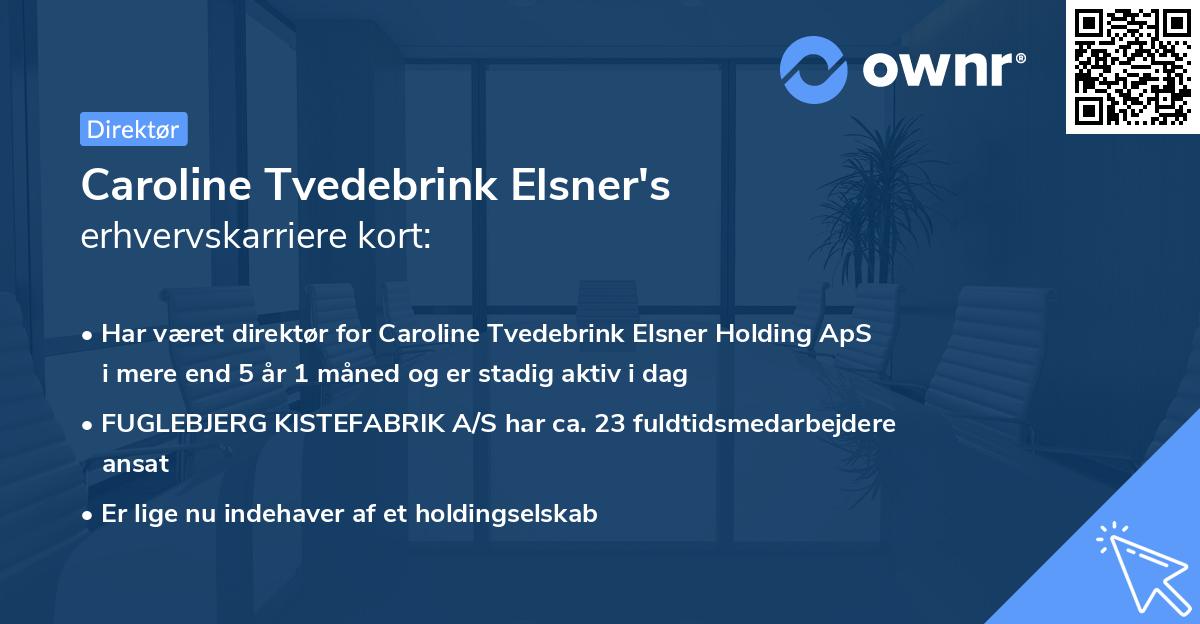 Caroline Tvedebrink Elsner's erhvervskarriere kort