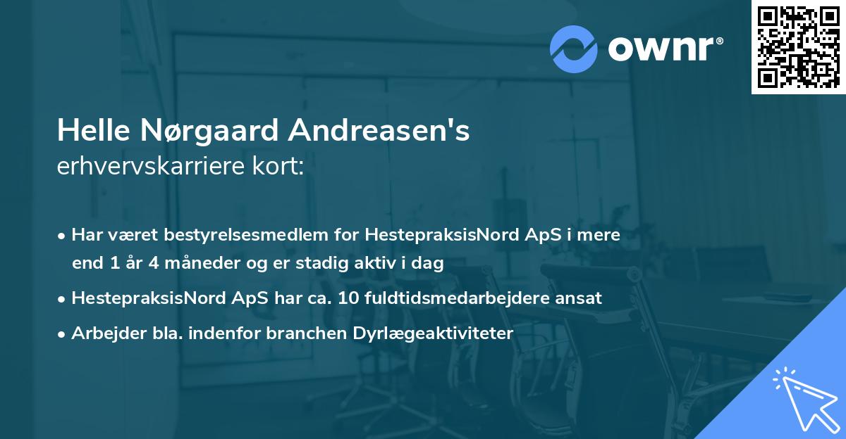 Helle Nørgaard Andreasen's erhvervskarriere kort
