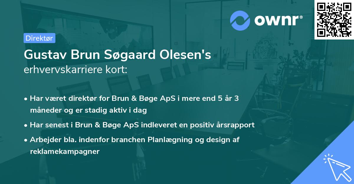 Gustav Brun Søgaard Olesen's erhvervskarriere kort