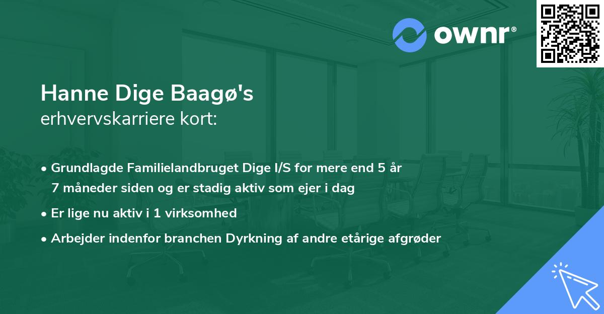 Hanne Dige Baagø's erhvervskarriere kort