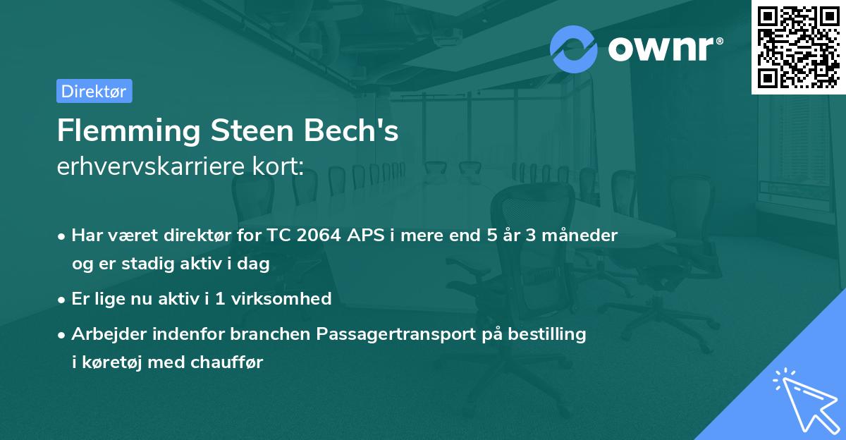 Flemming Steen Bech's erhvervskarriere kort