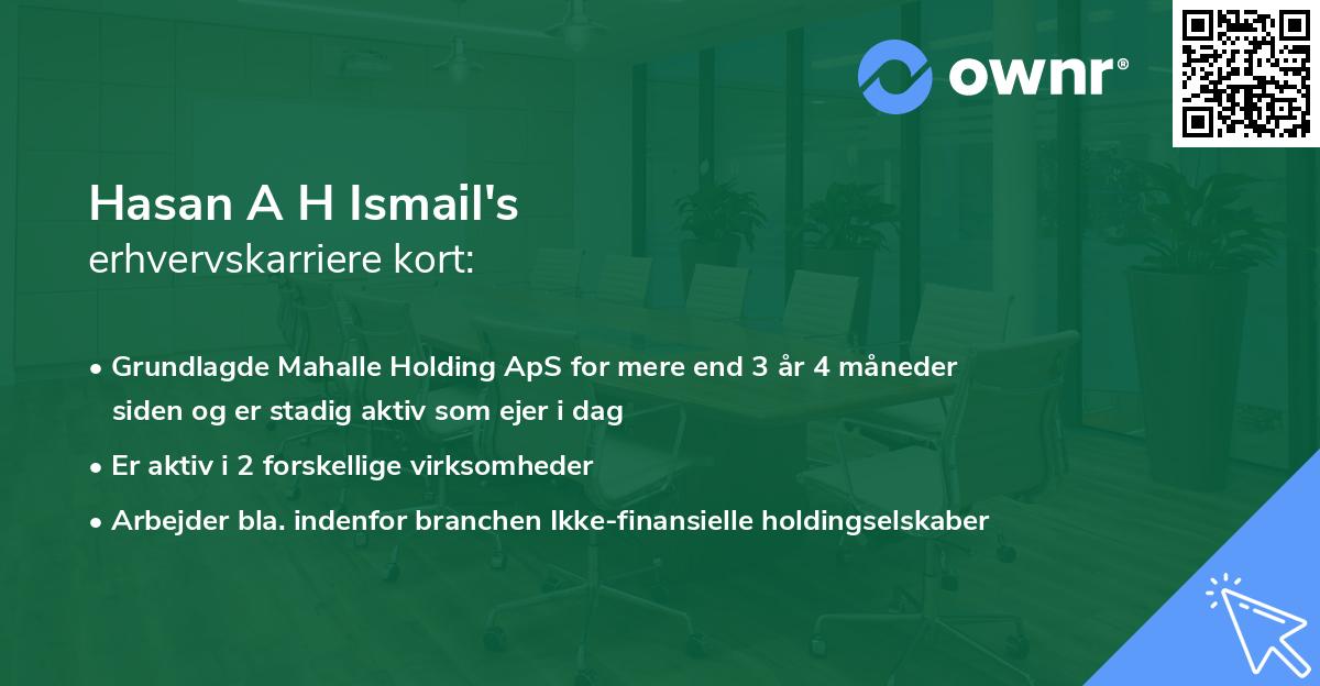 Hasan A H Ismail's erhvervskarriere kort