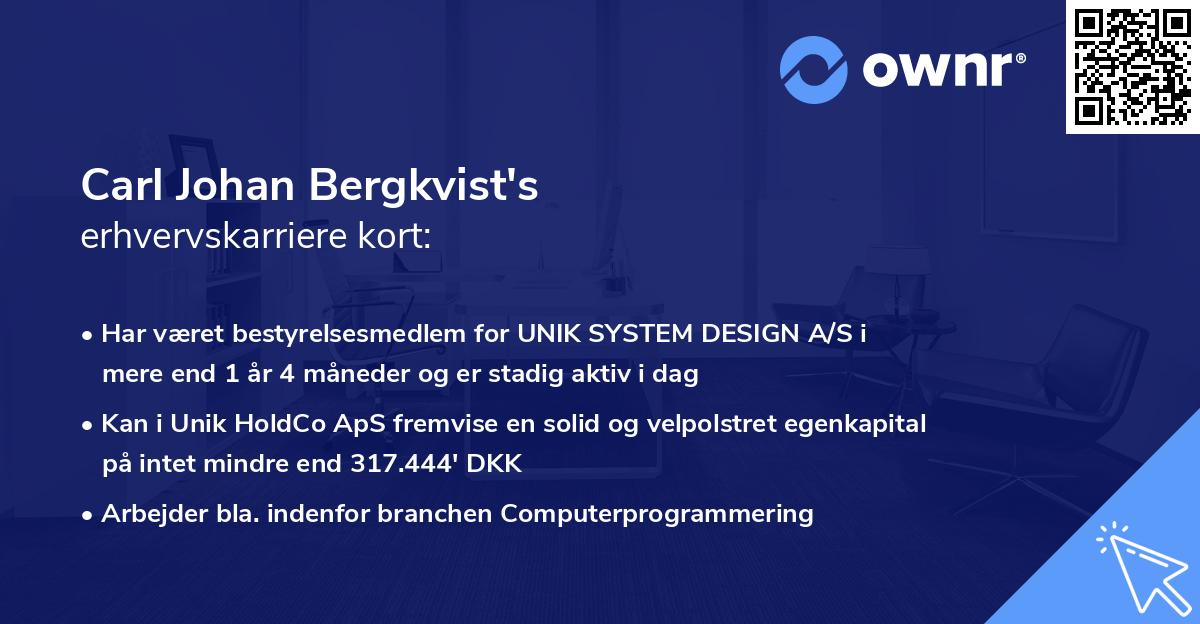 Carl Johan Bergkvist's erhvervskarriere kort