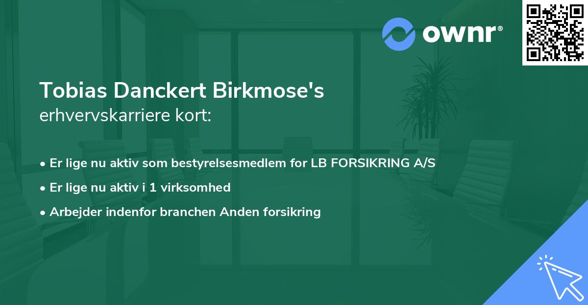 Tobias Danckert Birkmose's erhvervskarriere kort