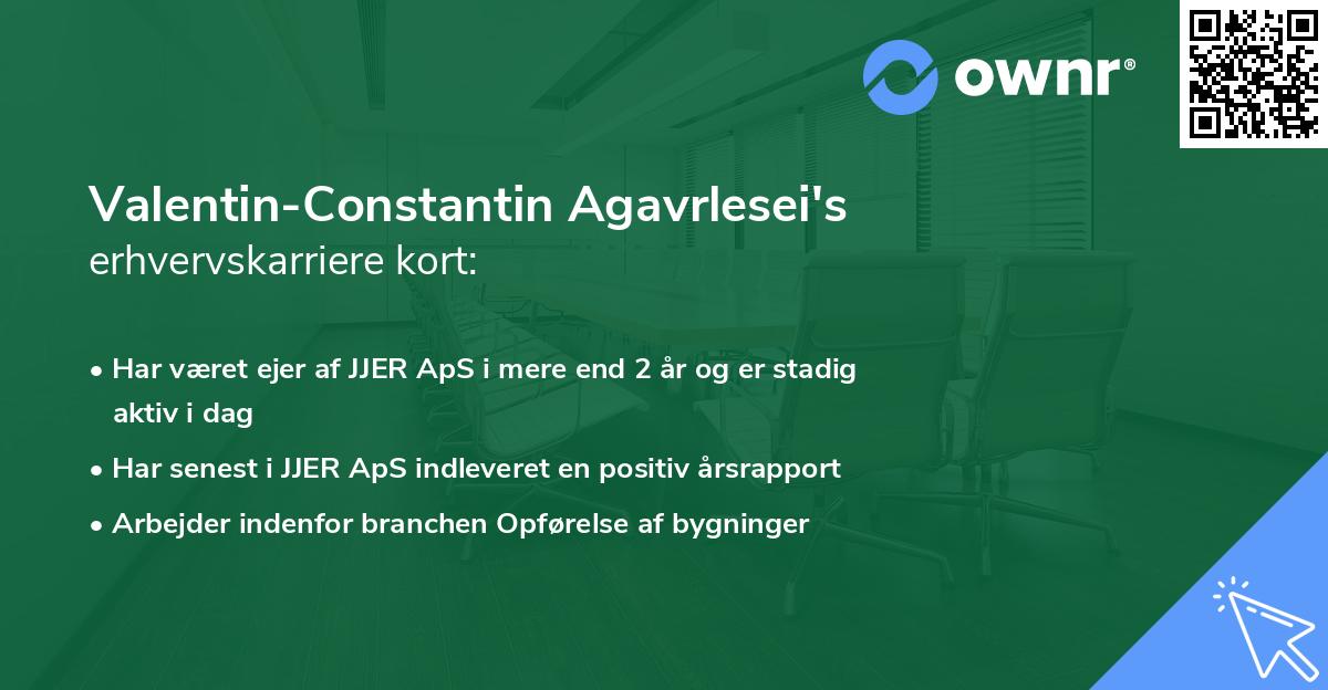 Valentin-Constantin Agavrlesei's erhvervskarriere kort