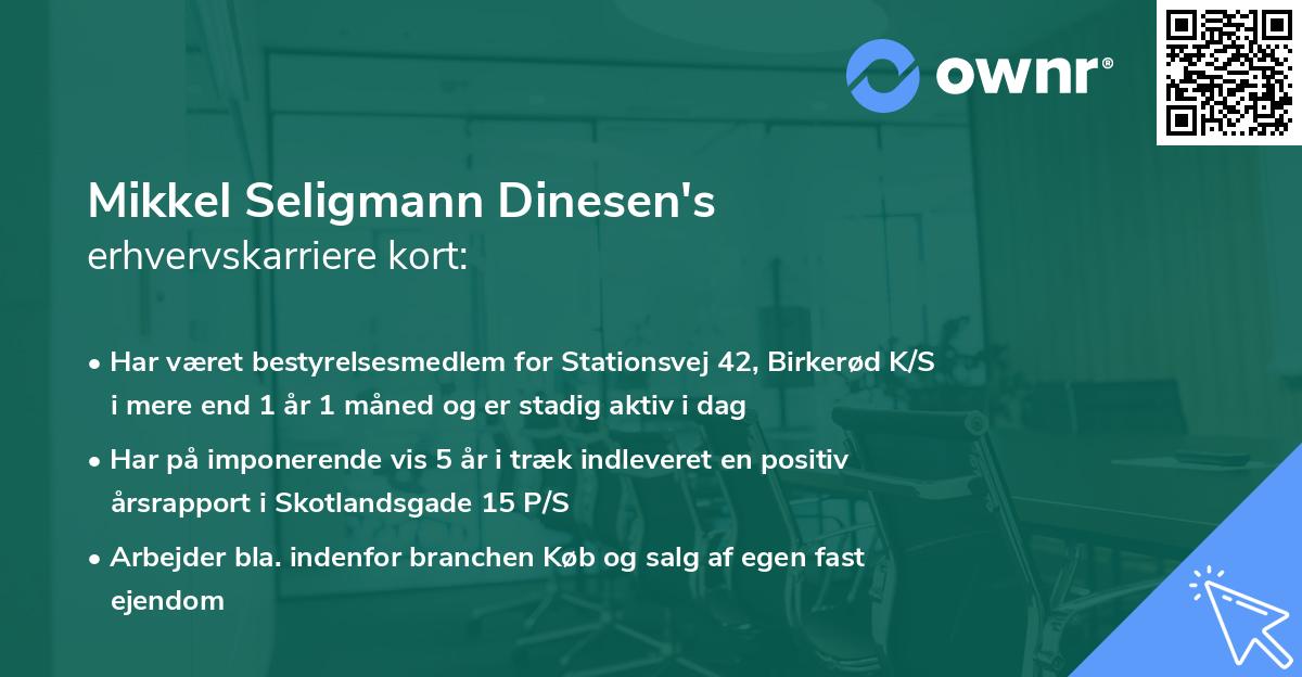 Mikkel Seligmann Dinesen's erhvervskarriere kort