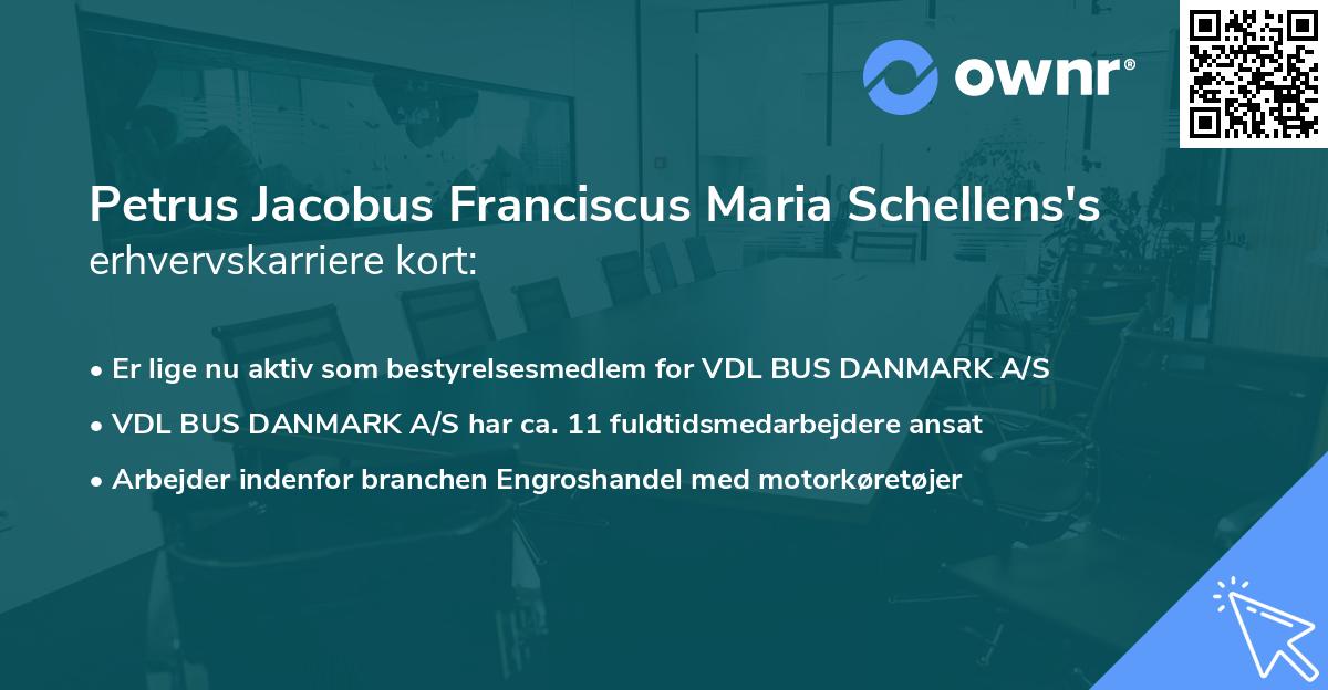 Petrus Jacobus Franciscus Maria Schellens's erhvervskarriere kort