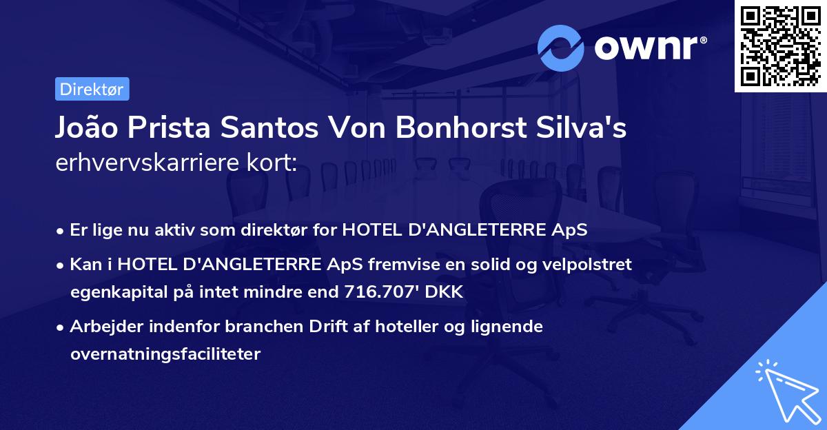 João Prista Santos Von Bonhorst Silva's erhvervskarriere kort