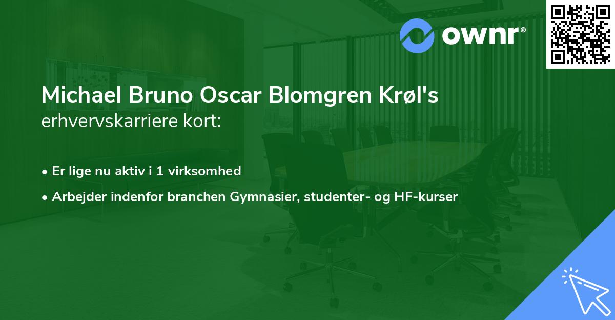 Michael Bruno Oscar Blomgren Krøl's erhvervskarriere kort