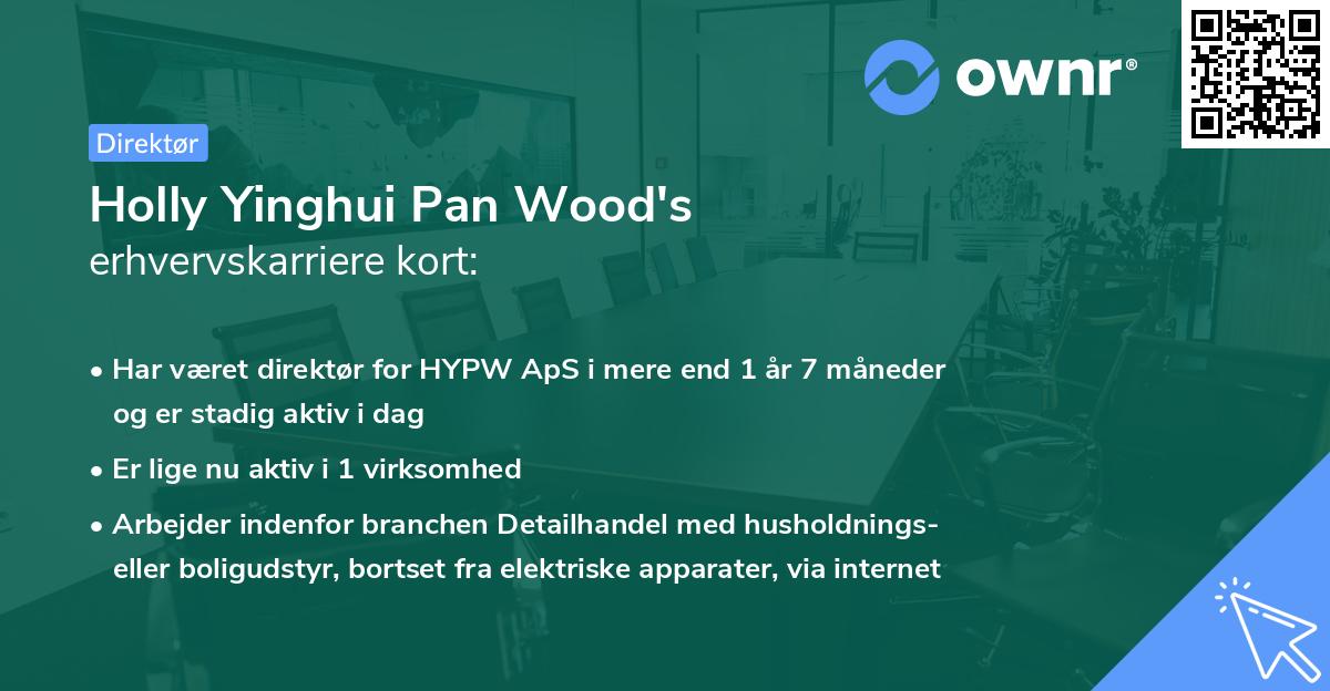 Holly Yinghui Pan Wood's erhvervskarriere kort